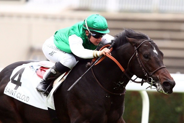 Equipement Jockey et cavalier